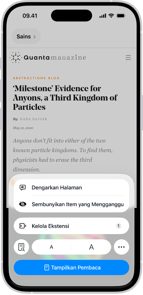 Di Safari, tombol Menu Halaman di situs web telah diketuk, yang menampilkan pilihan termasuk Sembunyikan Item yang Mengganggu.