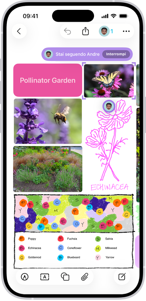 L’app Freeform è aperta su un iPhone. Sulla lavagna sono presenti scritte a mano, testi, disegni, forme, foto, video, memo, link e altri file.