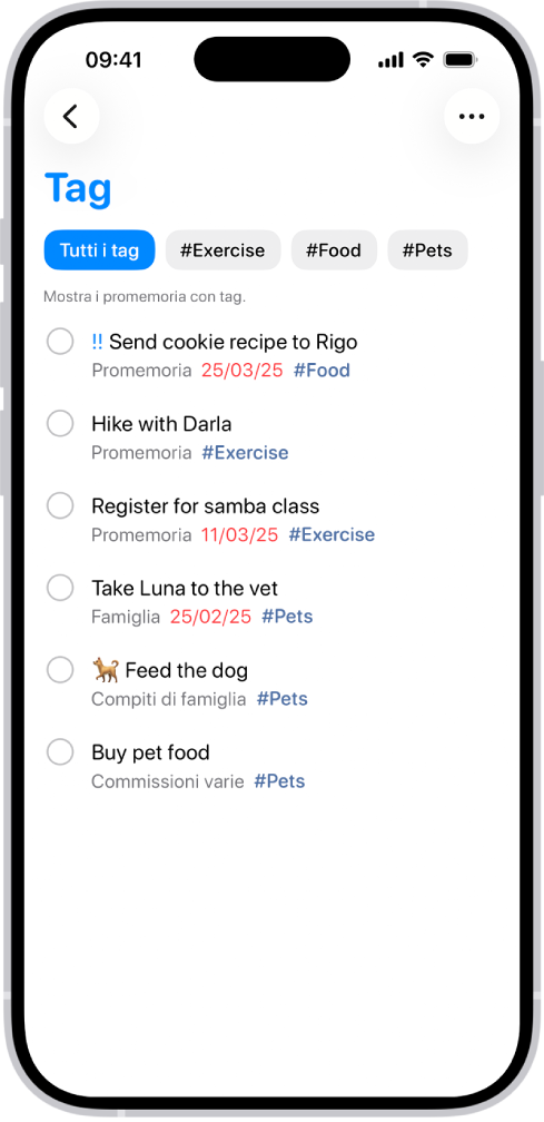 Un elenco di promemoria con tag nell’app Promemoria. I pulsanti lungo la parte superiore mostrano tag aggiuntivi che puoi applicare.