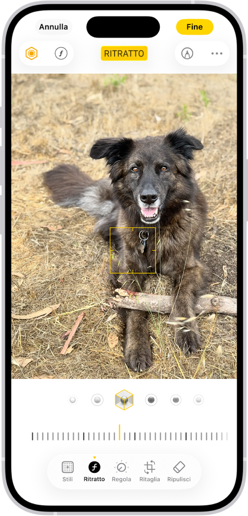 La schermata di modifica dell’app Foto con una foto in modalità Ritratto al centro. Sotto alla foto sono presenti le opzioni di illuminazione della modalità Ritratto. È selezionata l’opzione “Luce set fotografico”. Sotto è presente un cursore per regolare il livello dell’effetto. Nella parte inferiore dello schermo, da sinistra a destra, sono visualizzati i pulsanti Ritratto, Regola, Filtri e Ritaglia. Il pulsante Ritratto è selezionato.