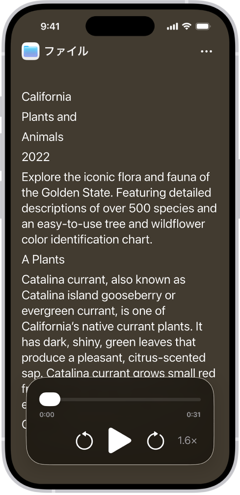 「アクセシビリティリーダー」画面。黒の背景に大きなテキストでファイルからのテキストが表示されています。