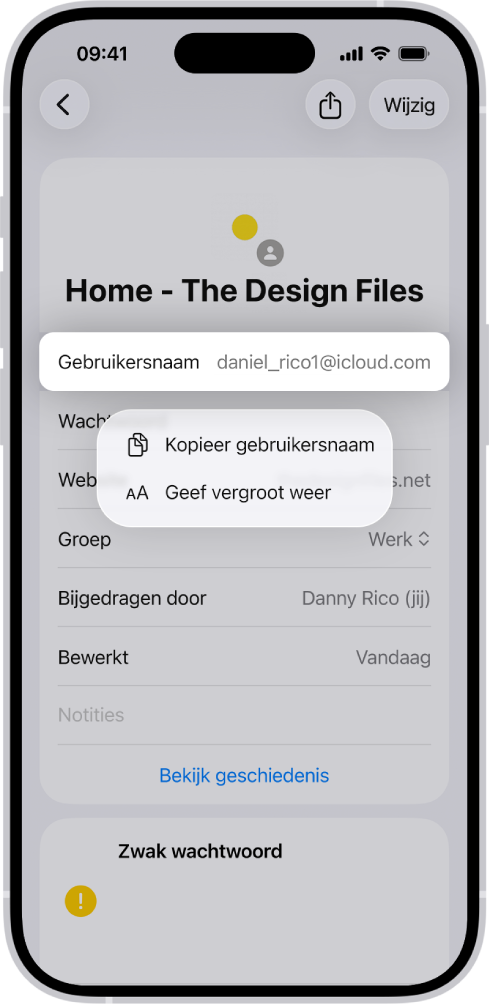 Een accountscherm waarop de gebruikersnaam is gemarkeerd en de opties 'Kopieer gebruikersnaam' en 'Geef vergroot weer' te zien zijn.
