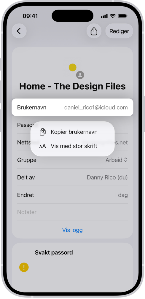 En kontoskjerm viser et uthevet brukernavn med alternativer for å kopiere brukernavn og vise med stor skrift