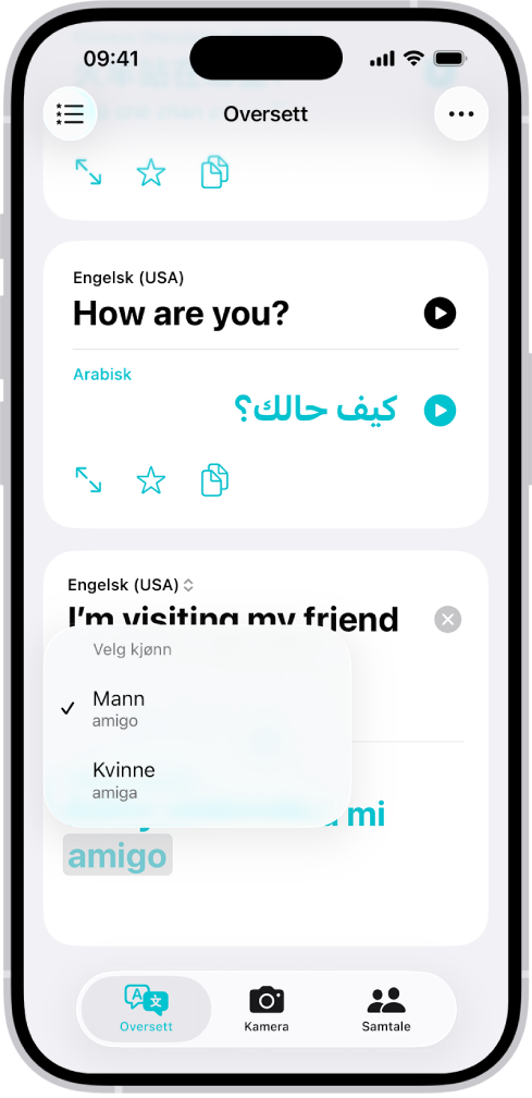 Oversett-fanen som viser en setning oversatt fra engelsk til spansk, og et ord som er uthevet i grått, med forskjellige kjønnsvarianter under.