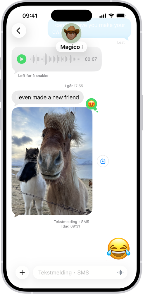 En samtale vises i Meldinger. Meldingsboblene er grønne, noe som viser at den andre personen ikke bruker iMessage.