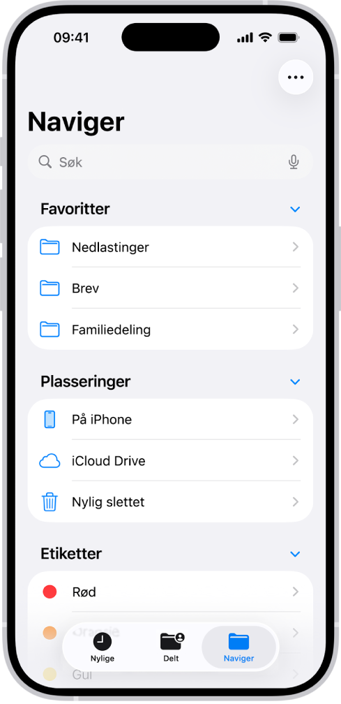Filer-appen viser flere mapper og steder med navnene Nedlastinger, Brev, Familie og så videre. Nederst på skjermen finnes knapper for Nylige filer, Delte filer og Naviger-fanen.