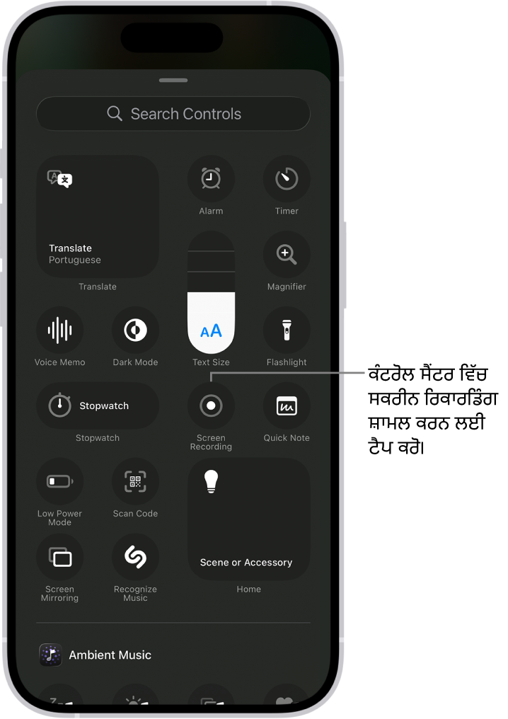 ਇੱਕ ਸਕਰੀਨ, ਜਿਸ ਵਿੱਚ ਉਹ ਕੰਟਰੋਲ ਦਿਖਾਈ ਦੇ ਰਹੇ ਹਨ ਜੋ ਤੁਸੀਂ ਕੰਟਰੋਲ ਸੈਂਟਰ ਵਿੱਚ ਜੋੜ ਸਕਦੇ ਹੋ। ਸਕਰੀਨ ਰਿਕਾਰਡਿੰਗ ਕੰਟਰੋਲ, ਸੈਂਟਰ ਦੇ ਨੇੜੇ ਹੈ।