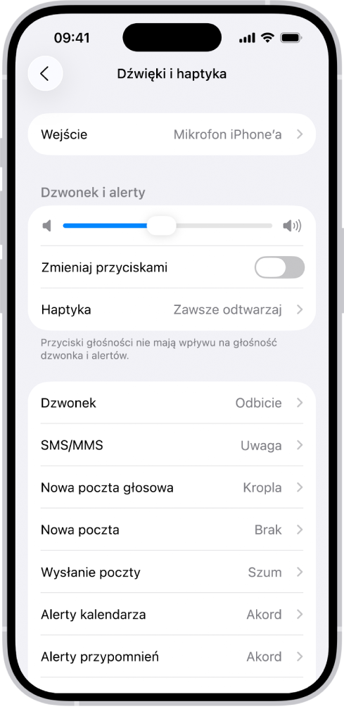 Ekran Dźwięki i haptyka w Ustawieniach.