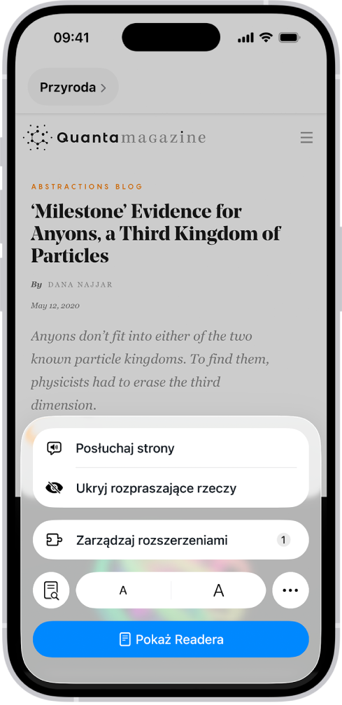 Po wyświetleniu witryny w Safari i stuknięciu w przycisk Menu strony wyświetlona została lista opcji, w tym Ukryj rozpraszające rzeczy.