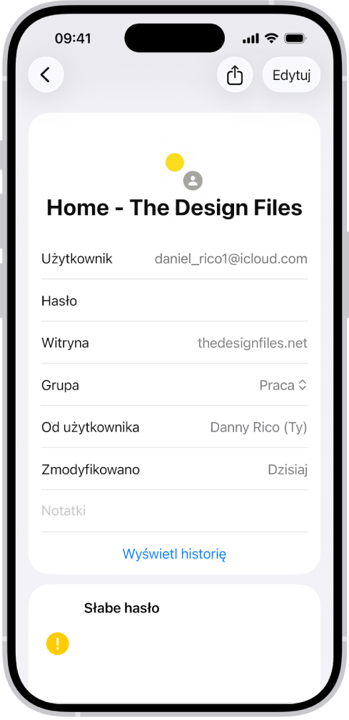 Aplikacja Hasła wyświetlająca szczegóły dotyczące konta, w tym nazwę użytkownika, hasło oraz witrynę.