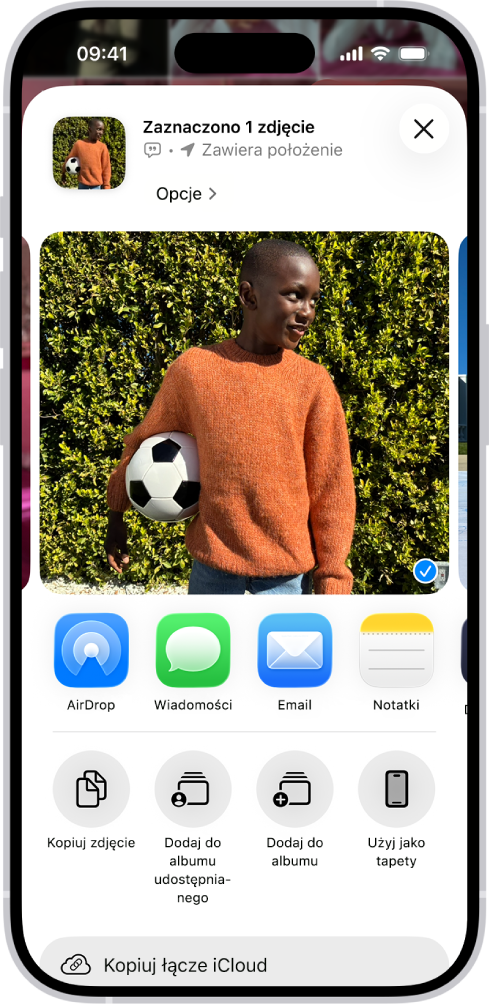 Zaznaczone zdjęcie wyświetlone w górnej części ekranu iPhone’a. Poniżej widoczne są opcje udostępniania. Jeszcze niżej znajdują się kolejne opcje, takie jak Kopiuj zdjęcie, Dodaj do albumu udostępnianego, Dodaj do albumu oraz Użyj jako tapety.