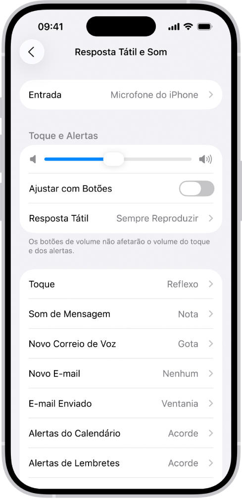 A tela Som e Tato nos Ajustes.
