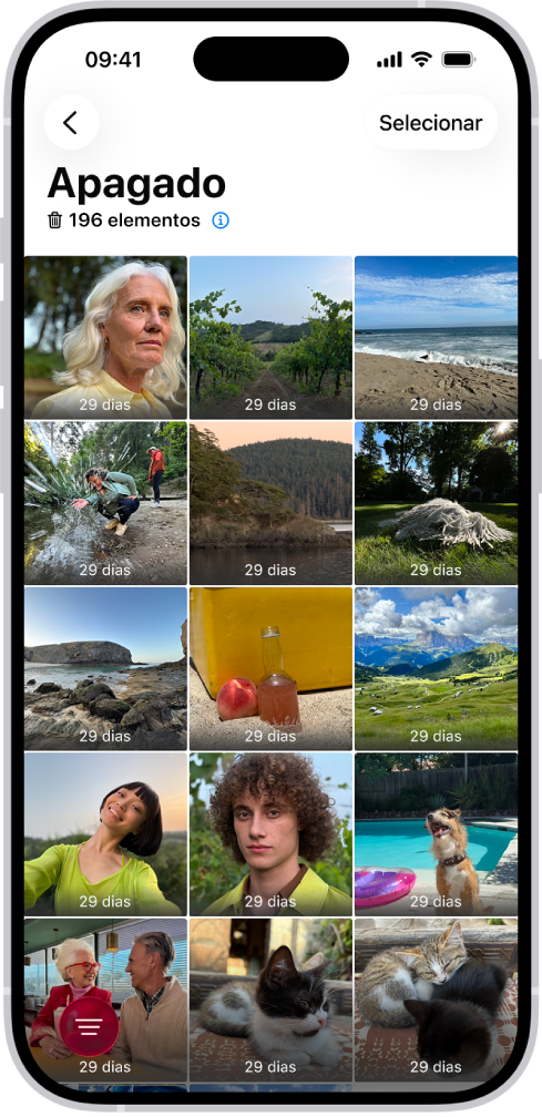 A pasta “Apagadas recentemente” na aplicação Fotografias. As fotografias apagadas recentemente aparecem numa grelha no ecrã.