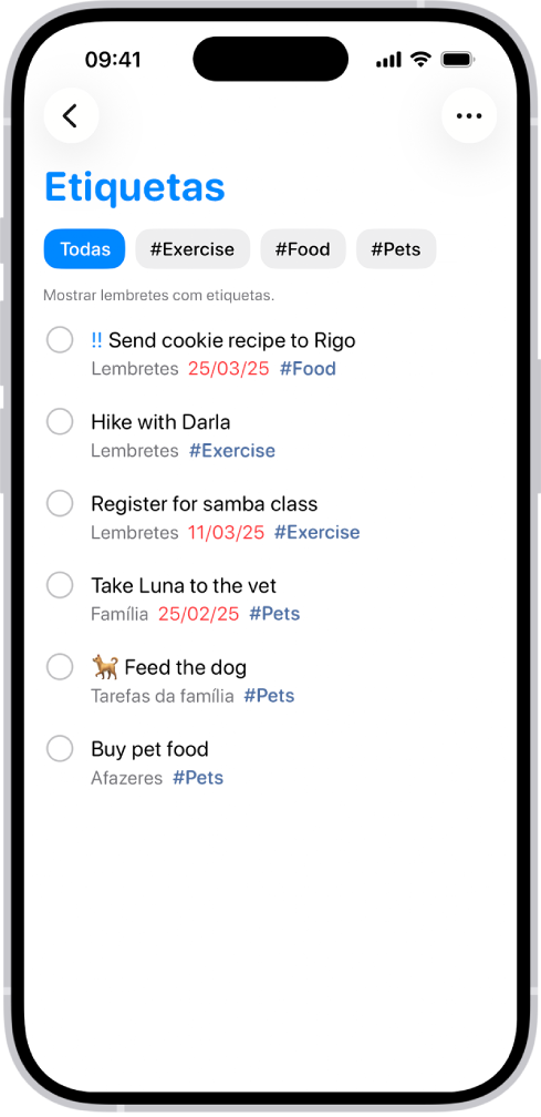 Uma lista de lembretes identificados na aplicação Lembretes. Os botões na parte superior mostram as etiquetas adicionais que pode aplicar.