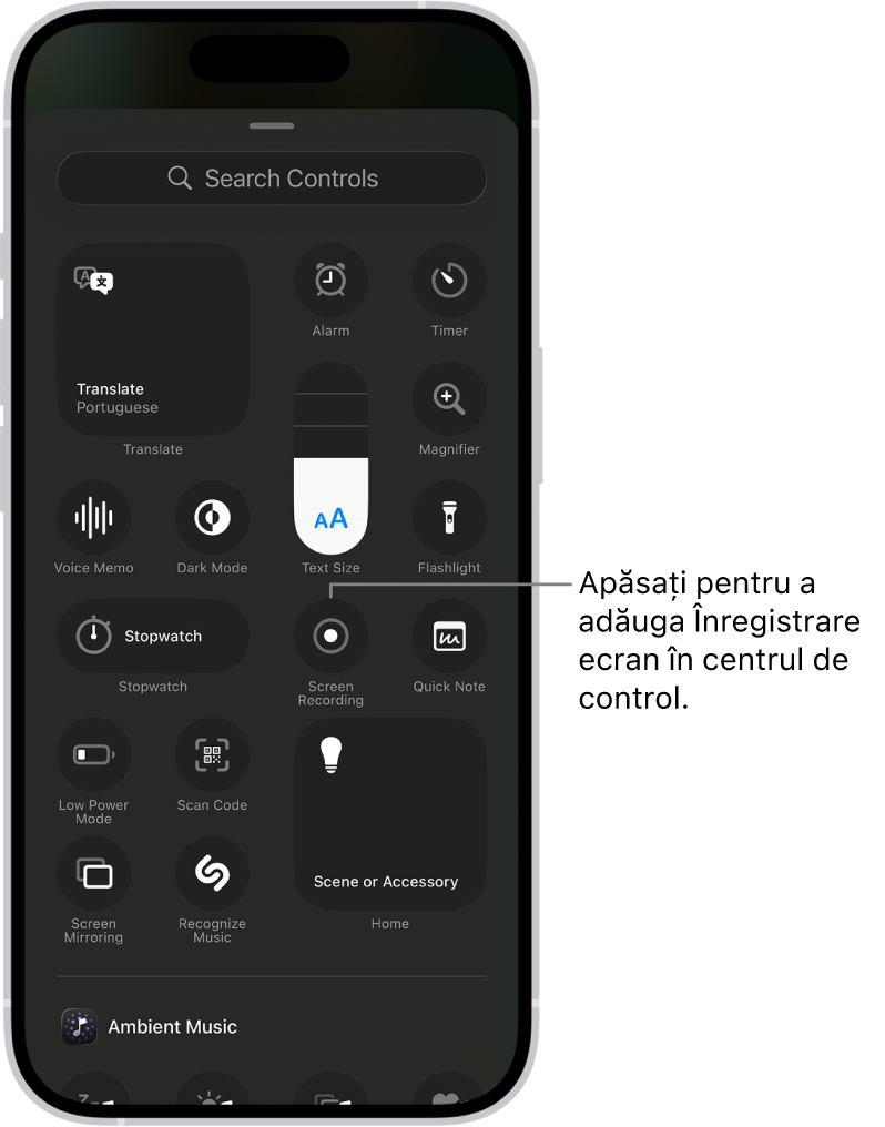 Un ecran afișând comenzi pe care le puteți adăuga la centrul de control. Comanda Înregistrare ecran se află aproape de partea centrală.