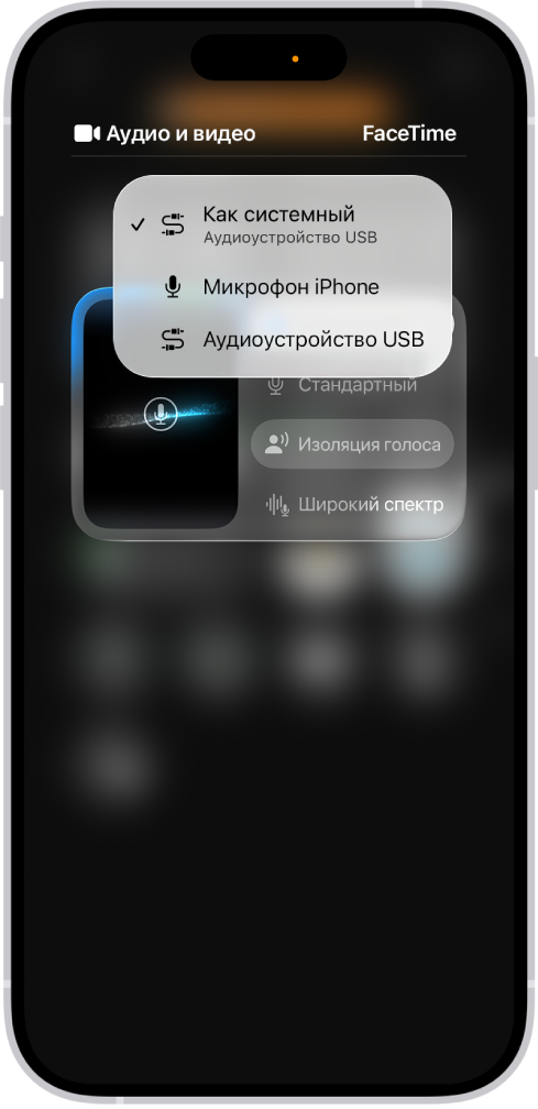 Для вызова FaceTime показаны элементы управления для выбора источника ввода аудио.