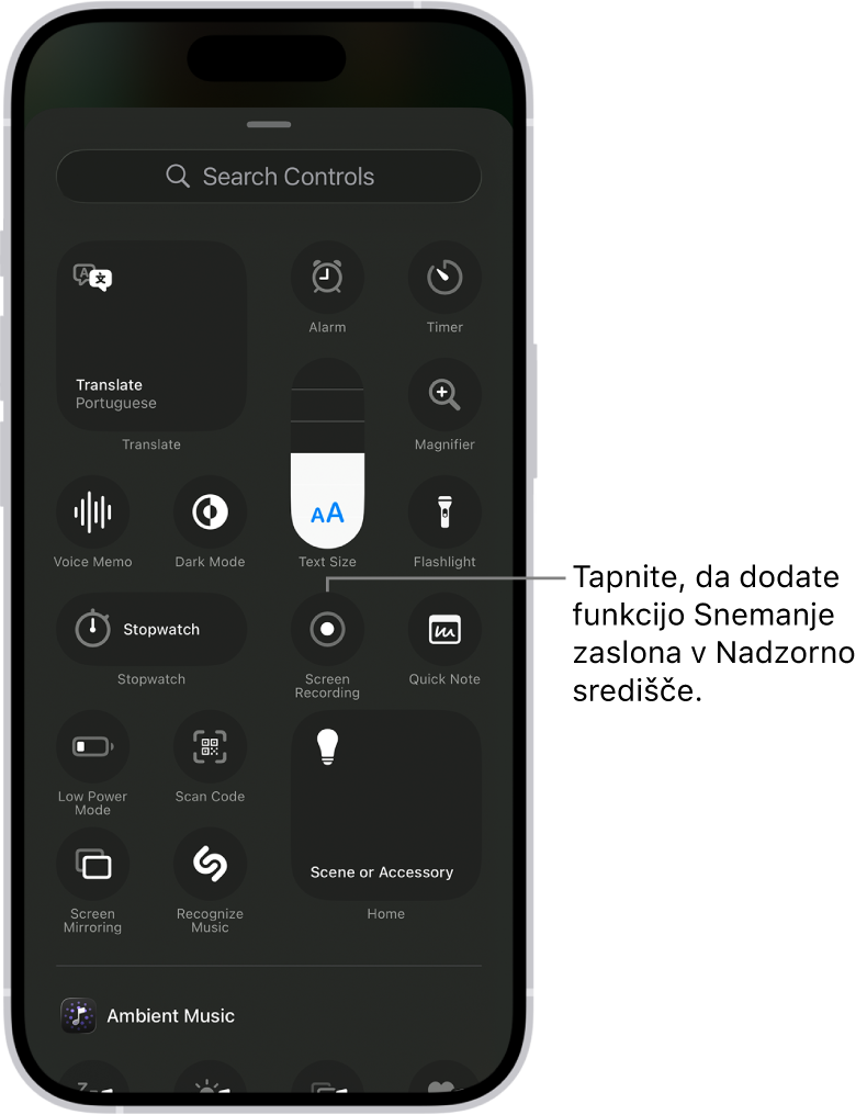 Zaslon, ki prikazuje krmilne funkcije, ki jih lahko dodate v Nadzorno središče. Gumb Snemanje zaslona je blizu središča.