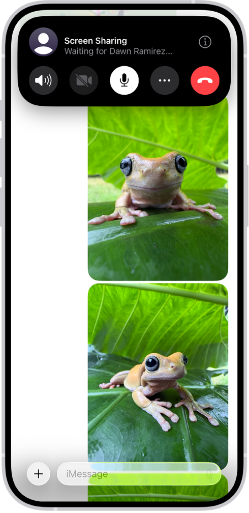 Një kërkesë në pritje për të ndarë një ekran në Messages.