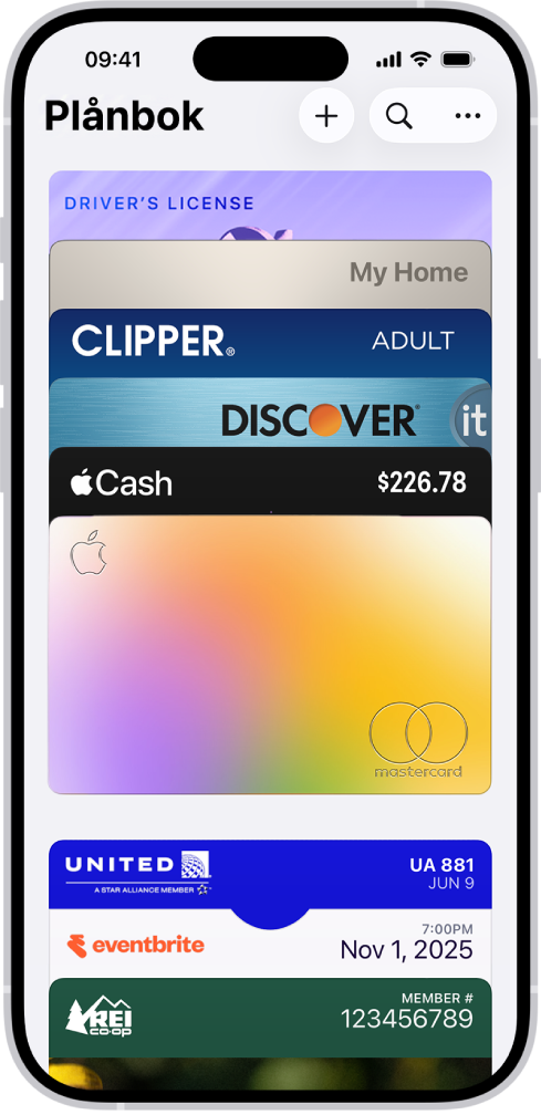 Plånbok-skärmen med flera kort.