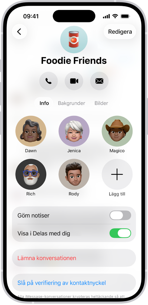 Konversationsdetaljer för en grupp.