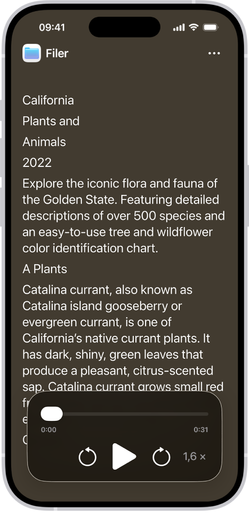 Skärmen för Hjälpmedelsläsare visar text från Filer med stor text på en svart bakgrund.