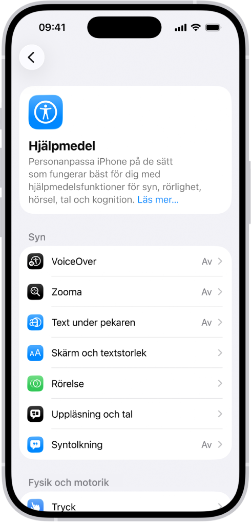 Hjälpmedelsskärmen i Inställningar visar de inbyggda funktionerna som stöder syn.