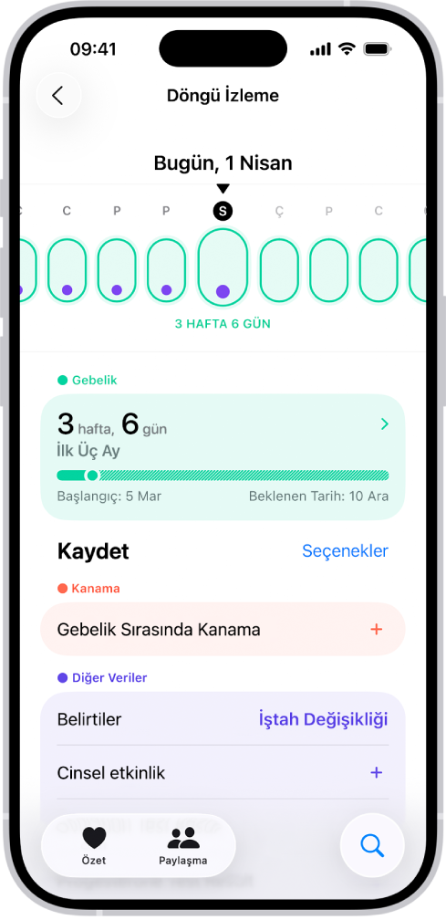 Ekranın en üstünde bir haftalık gebelik zaman çizelgesi ile Döngü İzleme ekranı. Açık yeşil ovaller ve mor noktalar, zaman çizelgesinin ilk 5 gününü işaretler. Tire işaretli açık yeşil ovaller, zaman çizelgesinde diğer günleri işaretler. Zaman çizelgesinin altında gebelik haftasını, başlangıç tarihini ve beklenen doğum tarihini gösteren gebelik özeti var. Gebelik özetinin alt tarafında gebelik sırasında kanama, belirtiler ve daha fazlası ile ilgili bilgi ekleme seçenekleri var.