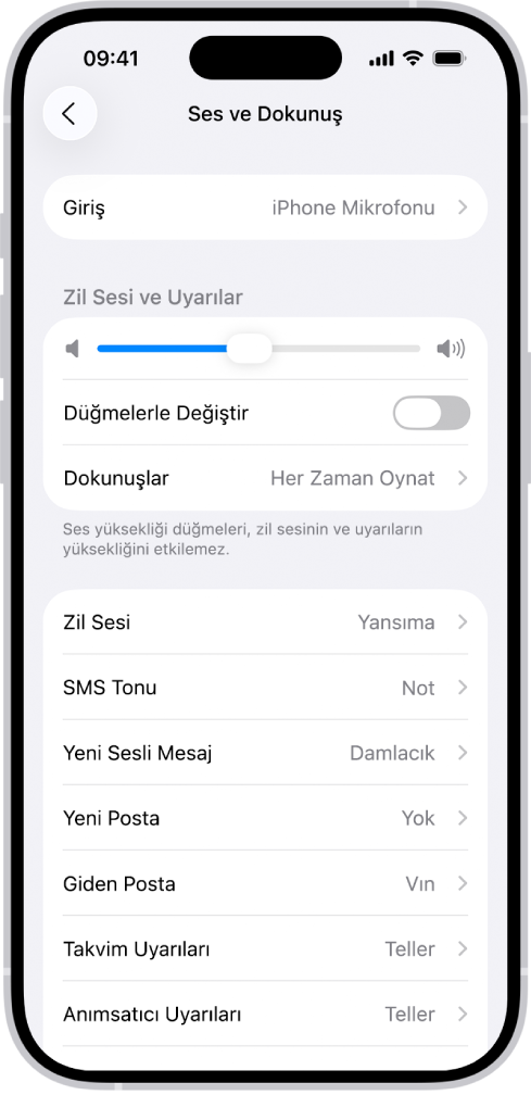 Ayarlar’daki Sesler ve Dokunuşlar ekranı.