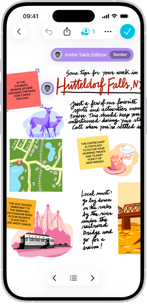 Biri, başka birinin Freeform panosunu takip ediyor.