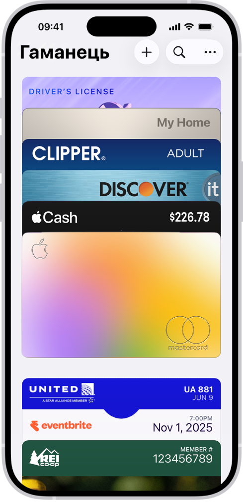 Екран програми «Гаманець», на якому відображено кілька карток.