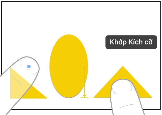 Hai ngón tay trên hai bàn tay đang chọn và khớp kích cỡ của hai mục trong Freeform.