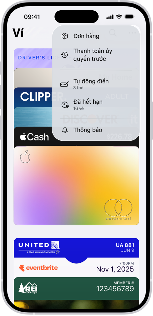 Một thẻ tín dụng trong ứng dụng Ví.