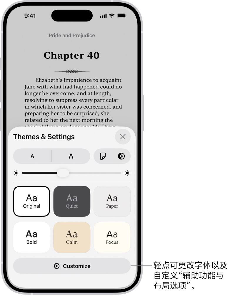 “图书” App 中的图书页面。“主题与设置”选项显示字体大小、滚动视图、翻页样式、亮度和字体样式的控制。