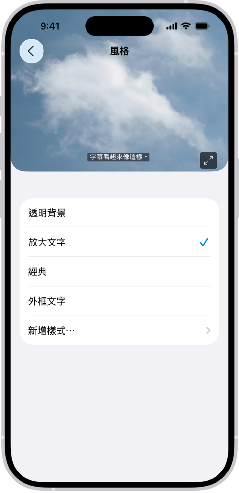 一部 iPhone 顯示自訂樣式的字幕範例。