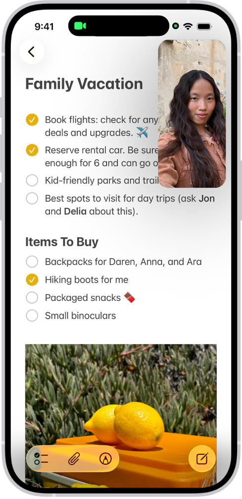 進行 FaceTime 對話的同時，有關廚房布置的備忘錄佈滿螢幕其餘部分。