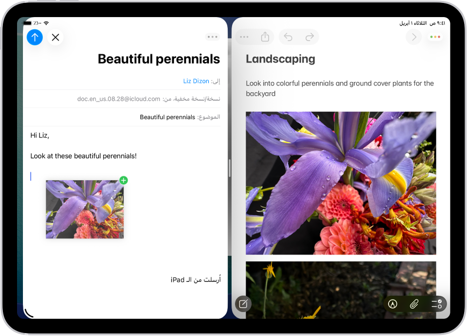 العمل في عدة تطبيقات مفتوحة جنبًا إلى جنب في الوقت نفسه. تطبيق الملاحظات مفتوح على اليمين وبريد إلكتروني مفتوح على اليسار. يتم سحب صورة من الملاحظات إلى البريد الإلكتروني.