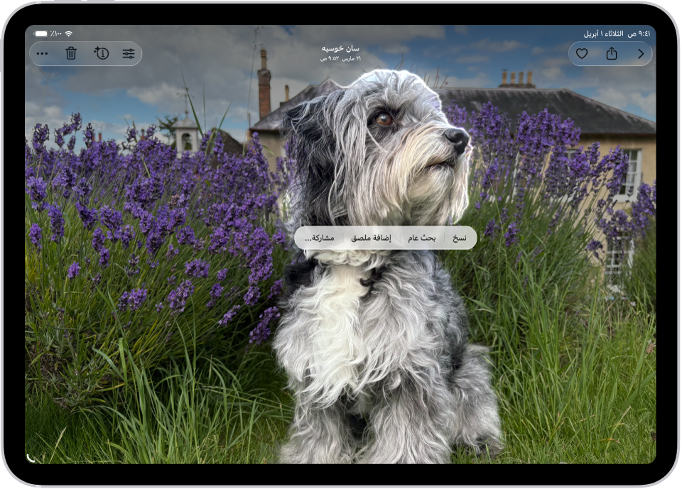 تطبيق الصور مفتوح على صورة لكلب. الكلب محدد، ويظهر الخيار إضافة ملصق في القائمة أعلاه.