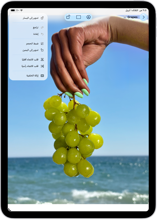 تطبيق المعاينة يعرض صورة. تظهر يد تحمل عنقود عنب في المقدمة. تظهر السماء والمحيط في الخلفية.