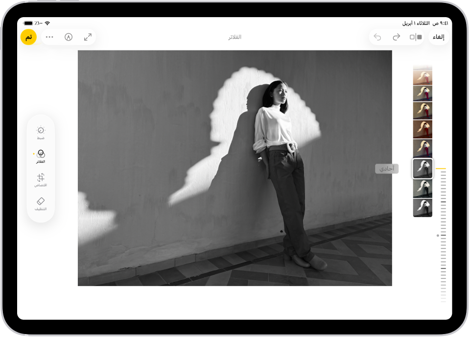 شاشة التعديل في تطبيق الصور بها صورة في المنتصف. على الجانب الأيمن من الشاشة توجد أزرار ضبط والفلاتر وقص؛ مع تحديد الفلاتر. على الجانب الأيسر من الشاشة توجد خيارات الفلتر وشريط تمرير لضبط مستوى تأثير الفلتر.