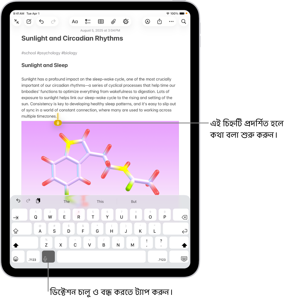 নোট অ্যাপে অনস্ক্রিন কীবোর্ড খোলা রয়েছে। কীবোর্ডের নিচে “ডিক্টেশন” বাটন নির্বাচন করা হয়েছে এবং টেক্সট ফিল্ডে ইন্সার্শন পয়েন্টের নিচে “ডিক্টেশন” বাটন দেখানো হয়েছে।