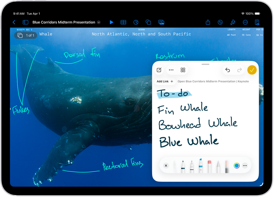 A Quick Note is open at the bottom right over a Keynote document.