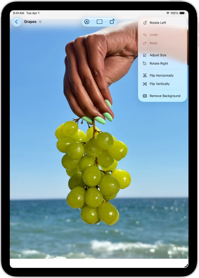 La app Vista Previa con una foto. Hay una mano sosteniendo un racimo de uvas en primer plano. El cielo y el océano están en segundo plano.