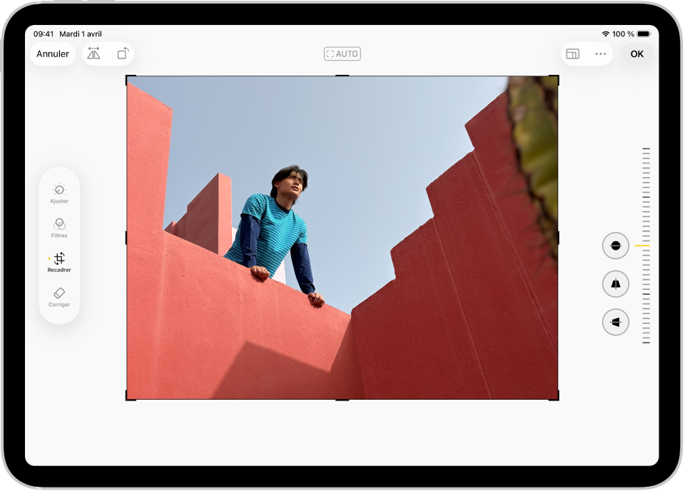 L’écran Modifier dans l’app Photos avec une photo au centre. Sur le côté gauche de l’écran se trouvent les boutons Ajuster, Filtres et Recadrer ; le bouton Recadrer est sélectionné. Sur le côté droit de l’écran se trouvent les options d’amélioration du recadrage et un curseur permettant d’ajuster le niveau de l’effet.