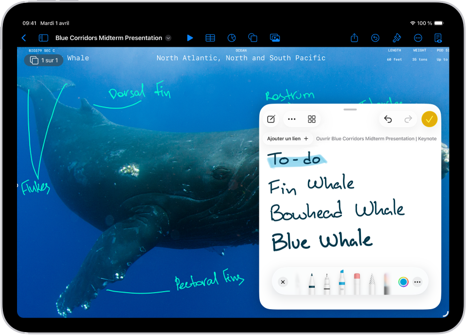 Une note rapide est ouverte en bas à droite sur un document Keynote.