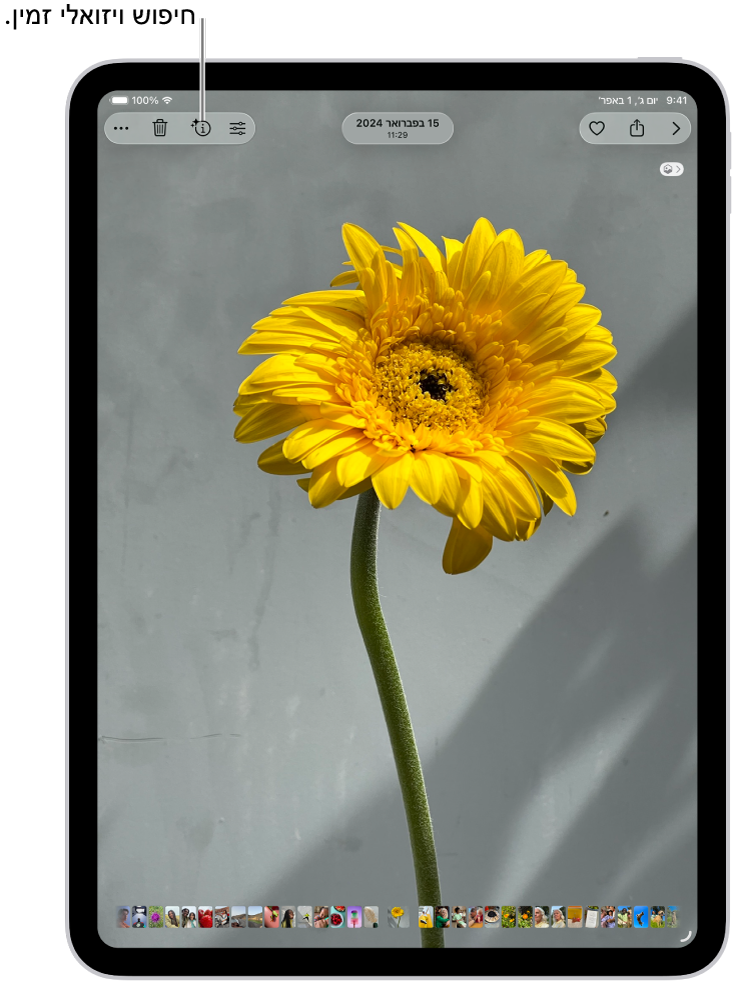 תמונה פתוחה ביישום ״תמונות״. בראש המסך מציג הכפתור ״פרטים״ אייקון שמסמן כי יש מידע של ״חיפוש ויזואלי נרחב״.