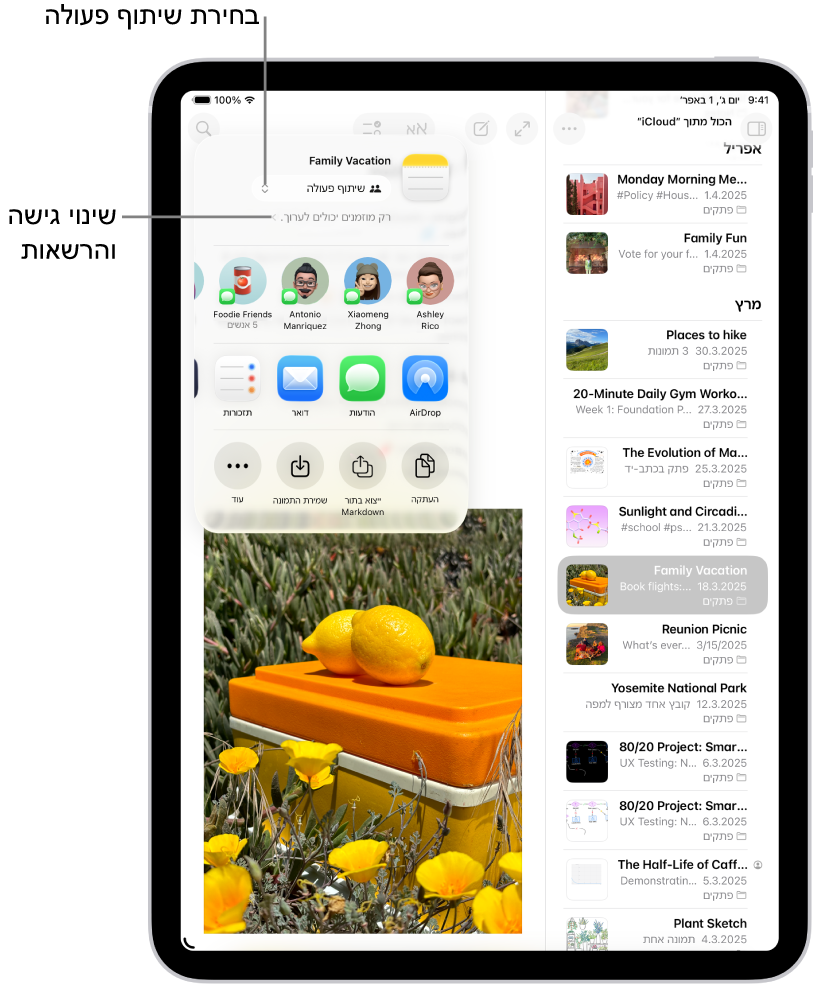 הזמנה לשיתוף פעולה ברשימת לביצוע ב״פתקים״, שמציגה את ״שיתוף פעולה״ כאפשרות השיתוף ואת האפשרות ״רק מי שהוזמן על-ידך יכול לערוך״ כהגדרת גישה והרשאות. ארבעה נמענים אפשריים, כולל קבוצה, בשורה שמתחת. השורה הבאה מציעה אופנים שונים לשיתוף הפתק: AirDrop, ״הודעות״, ״דואר״, ו״תזכורות״. השורה האחרונה מכילה כפתורים להעתקה, ייצוא ושמירה של הפתק.
