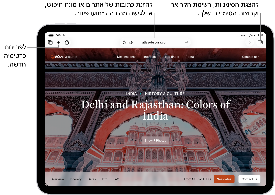 עמוד אינטרנט פתוח. לאורך החלק העליון, משמאל לימין, נמצאים הכפתור ״סרגל הצד״, הכפתור ״הקודם״, שדה החיפוש, הכפתור ״שיתוף״, הכפתור ״כרטיסיה חדשה״ והכפתור ״סקירת כרטיסיות״.