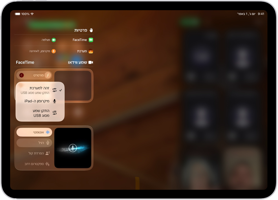 תפריט ב״מרכז הבקרה״ מציג אפשרויות למקורות קלט להקלטת הצד שלך בשיחת ועידה.