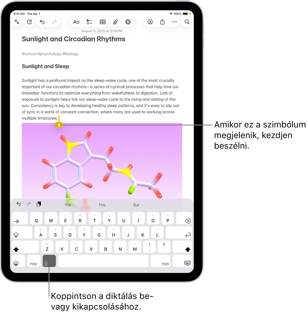 A képernyő-billentyűzet meg van nyitva a Jegyzetek appban. A billentyűzet alján lévő Diktálás gomb van kijelölve, és a Diktálás gomb megjelenik a beszúrási pont alatt a szövegmezőben.