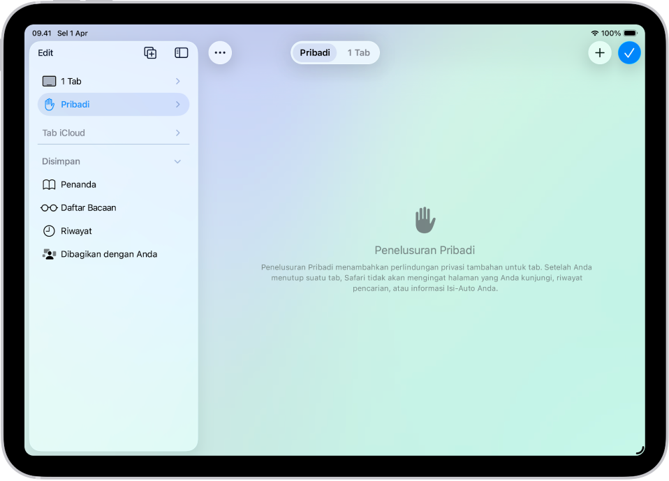 Bar samping Safari di sisi kiri jendela Safari dibuka, dengan Pribadi dipilih. Di sebelah kanan terdapat penjelasan bahwa Safari tidak akan mengingat penelusuran Anda.